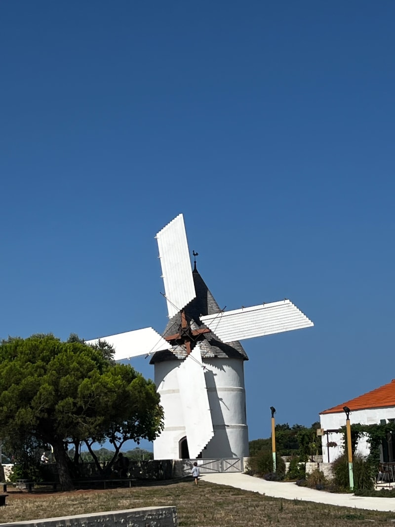 Saint-Denis-d'Oléron, marais salants et le Douhet - Saint-Denis-d'Oléron