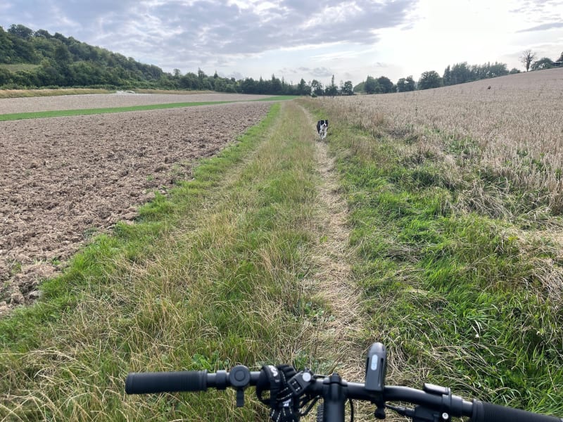 Petit tour Longfossé - Les Courteaux - Samer