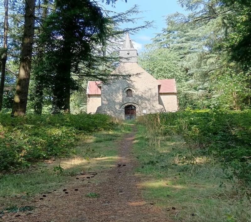 Balade fraîcheur au bois du Tay - Hambers