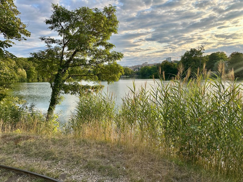 Quais du Rhône à VTC - Lyon