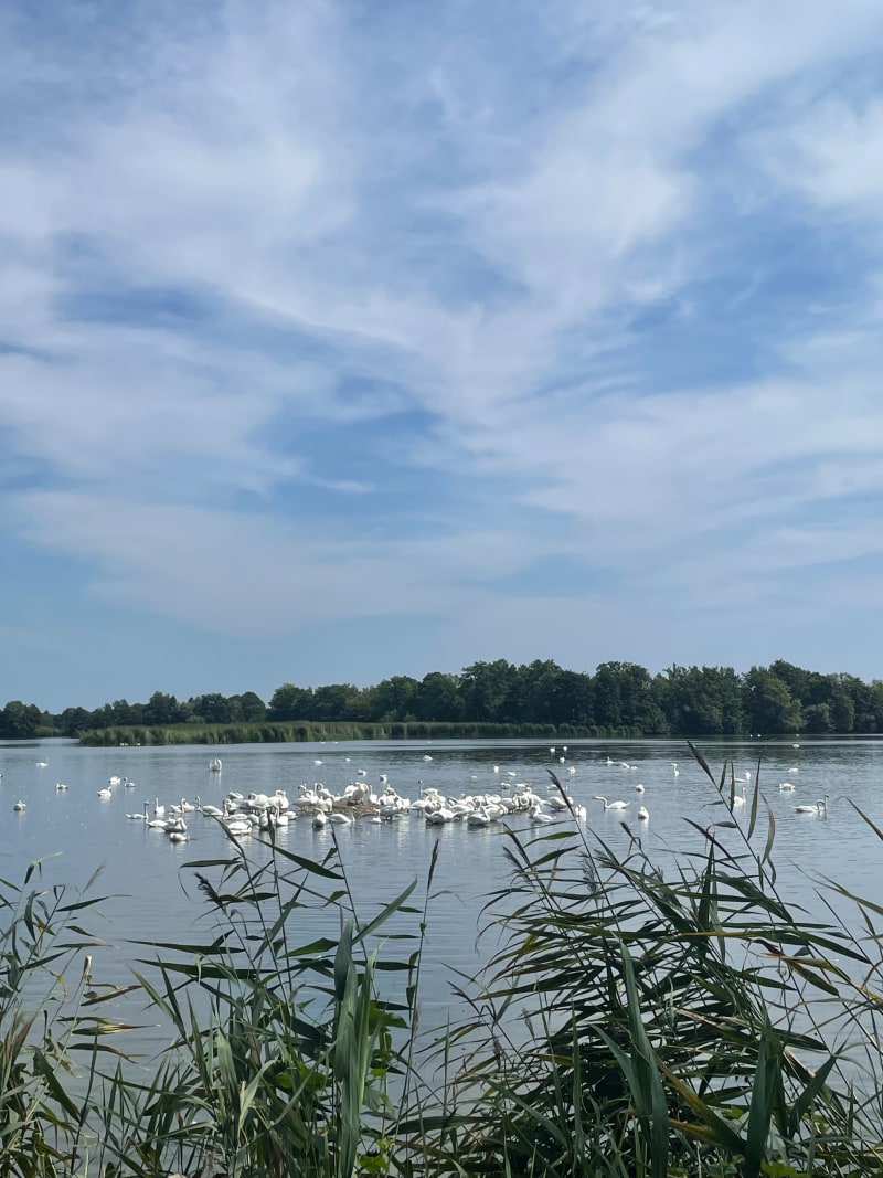 Ośrodek Sosenka - Plaża Milicz - Trzebicko Dolne