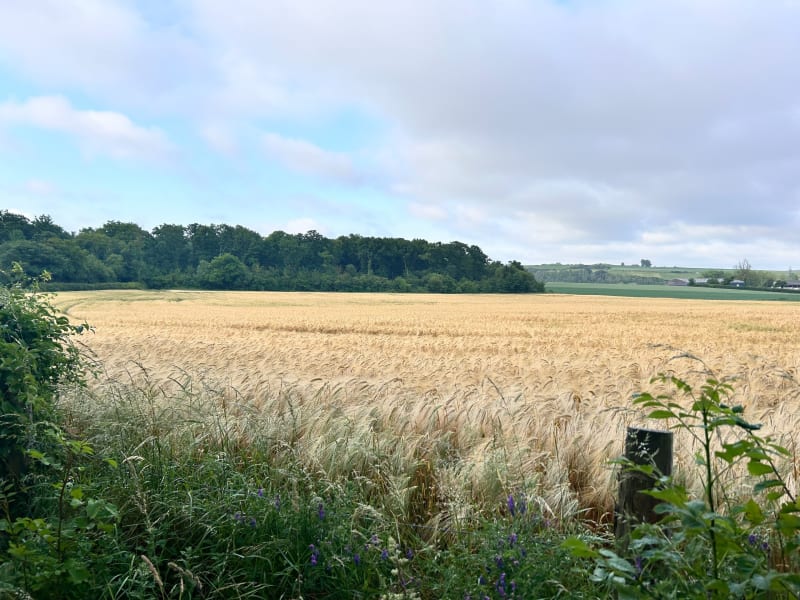 La Pilou depuis Haubourdin - Haubourdin