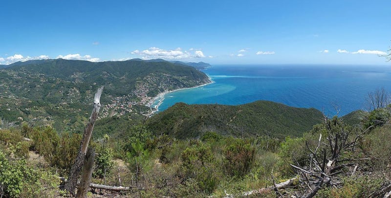 Sommet du Monte Moneglia - Moneglia