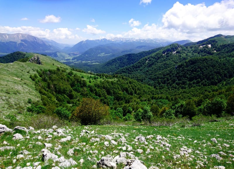 Les Abruzzes, terre des ours