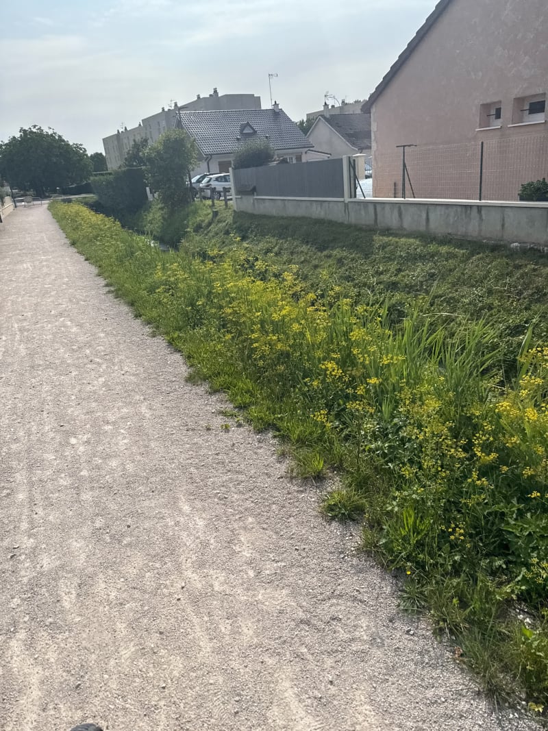 Remise en forme par l'allée du parc et un bout de cana à Chevigny - Chevigny-Saint-Sauveur