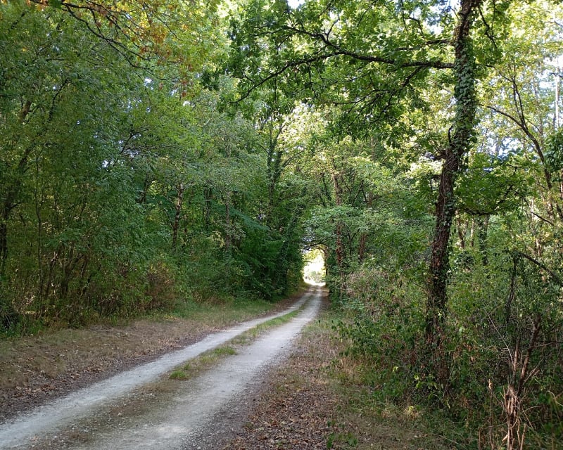 Pas pour débutant vers  Le Fouilloux - Le Fouilloux