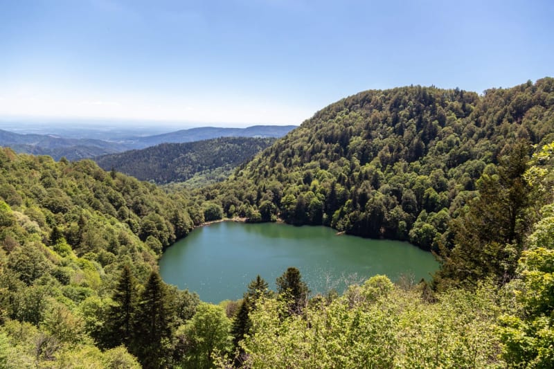 Randonnée lac des Perches : vue sur le lac des Perches entouré de forêt