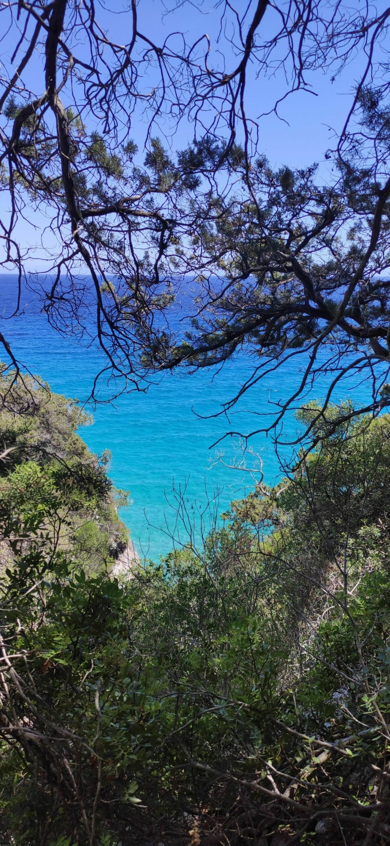 Cala Fuili - Grotta del Bue Marino