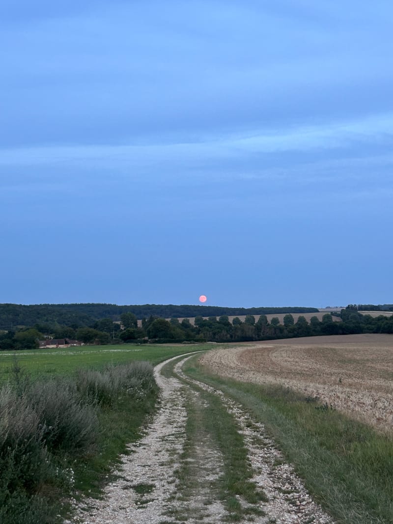 Champs de Treon - Tréon