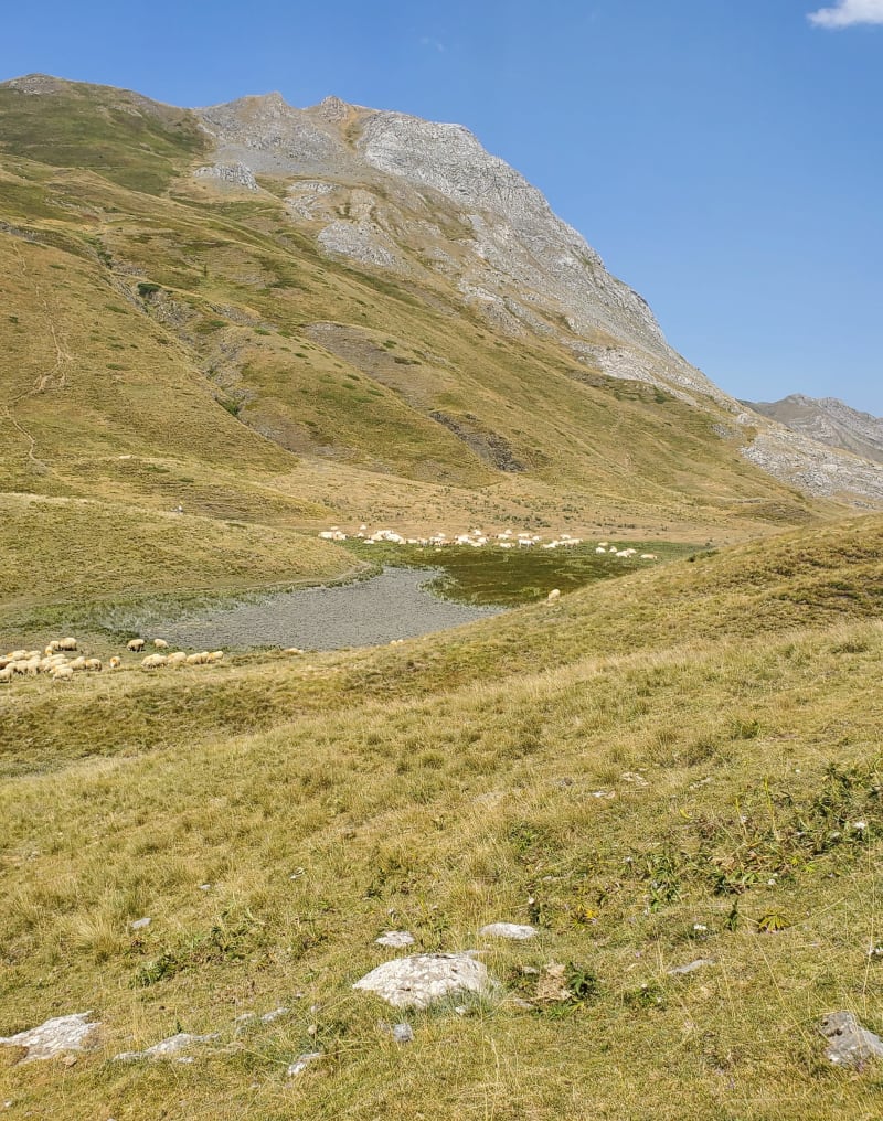 Col de Peyrelue par la vallée d'Osseau - Laruns