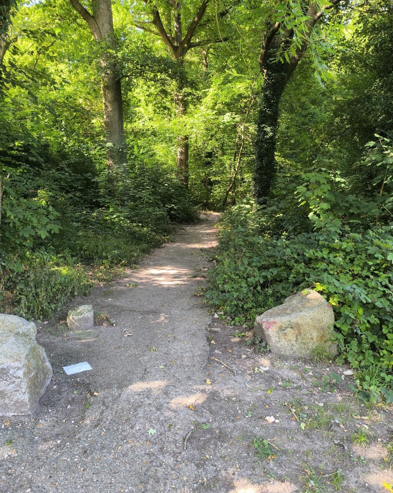 Bois de l'Archevêque - Déville-lès-Rouen