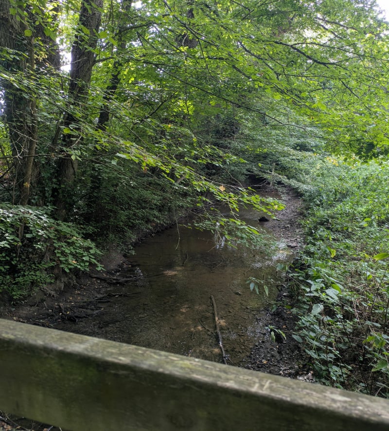 Entre Seiche et Yaigne - Vern-sur-Seiche