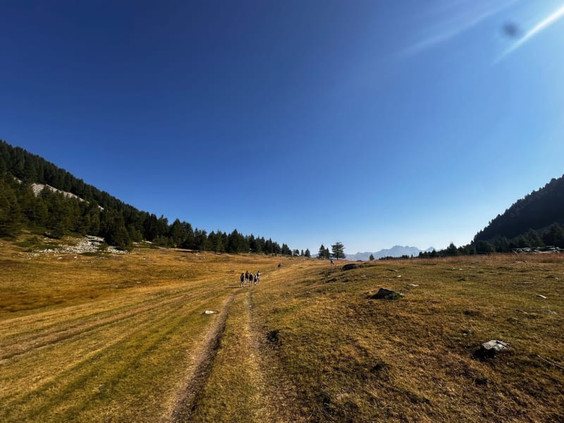 De Col Bas au Lac Noir - Seyne