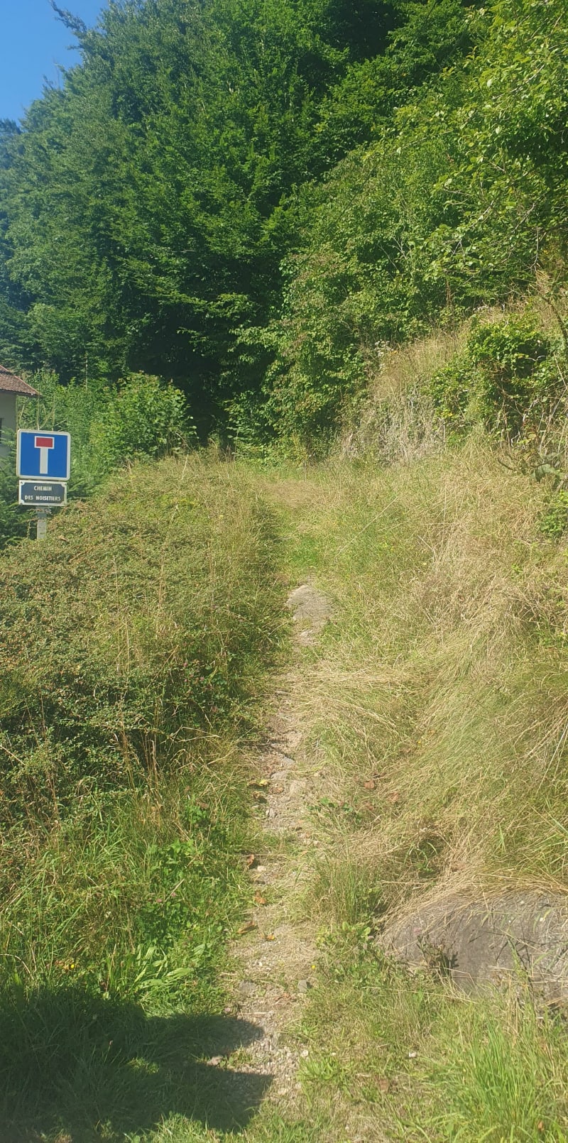 La croix des Monats jusqu'à la Pierre des 4 communes - Cornimont