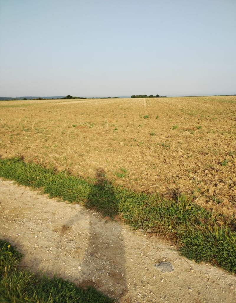 Balade à pied à Fosses et ses chemins - Fosses