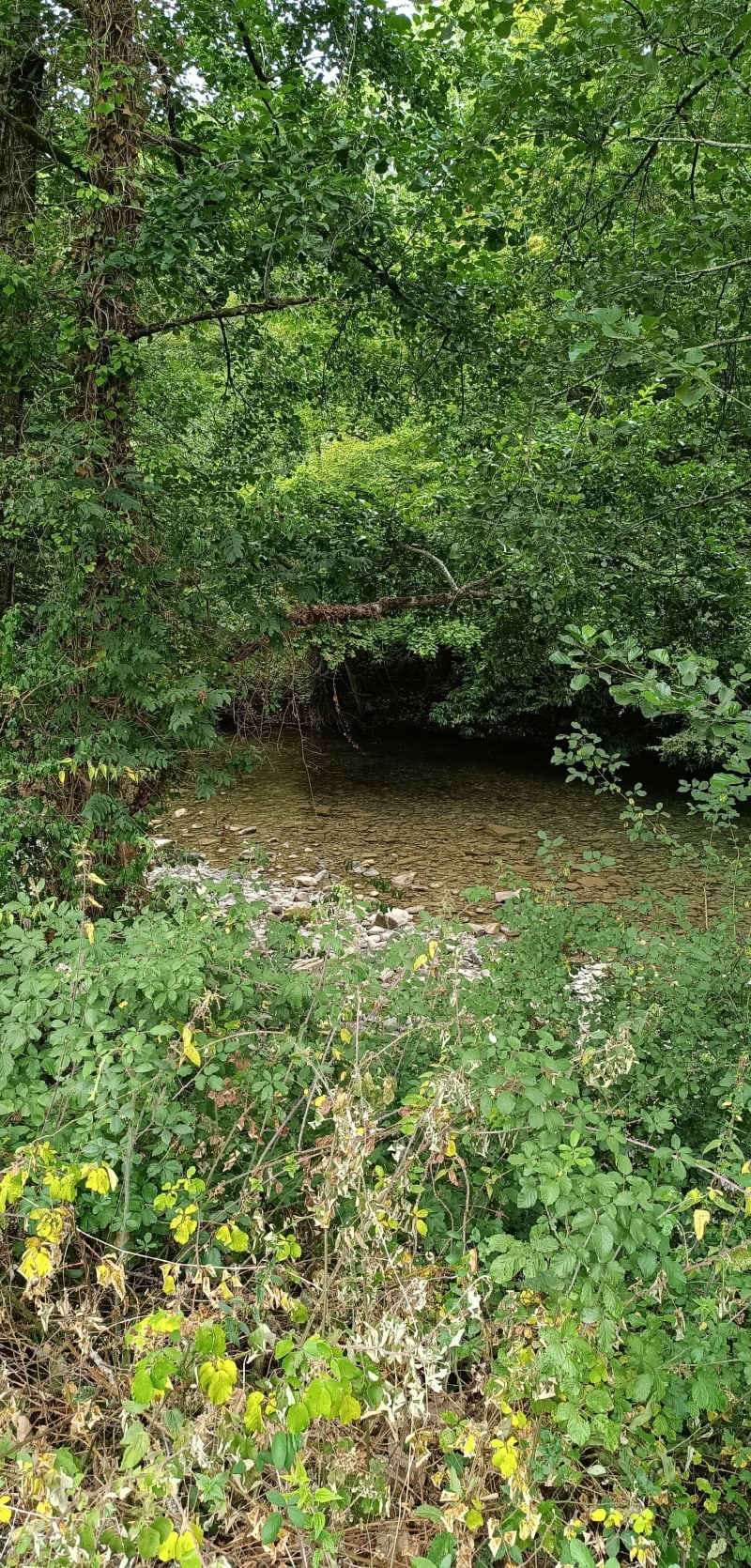 Balade d'Asson au bord de L'Ouzom - Asson