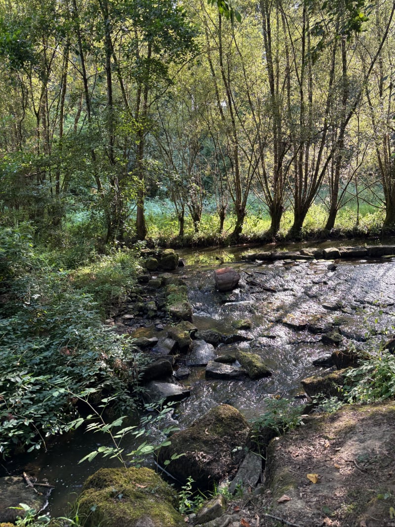 Quintin : Perche et bourg - Le Fœil