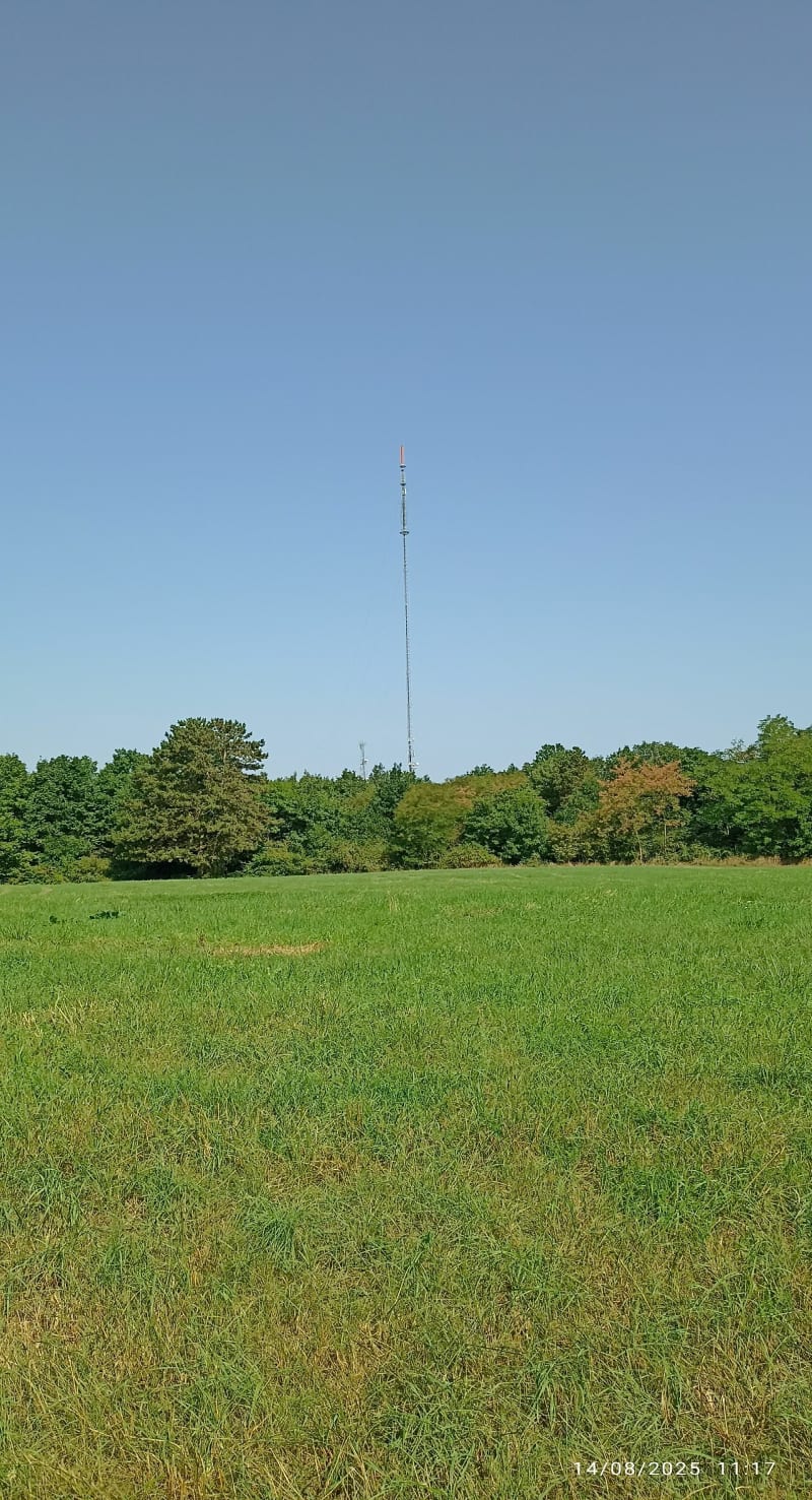 Balade autour de l'antenne de Nordheim - Nordheim