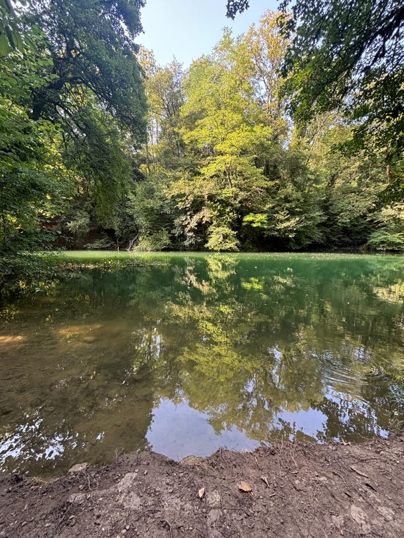 Lac bleu à Ambérieu-en-Bugey - Ambérieu-en-Bugey