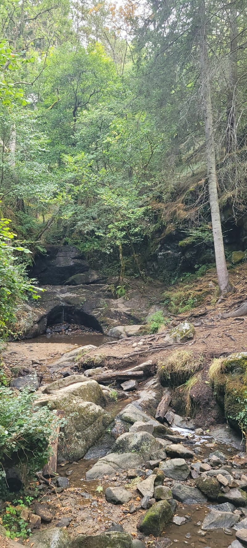 Enval les cascades et le renard - Enval