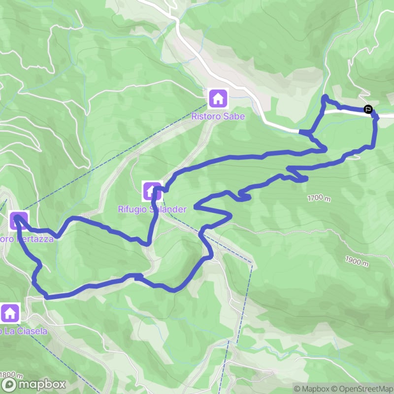Randonnée nature au départ de Via Santa Fosca à Selva di Cadore