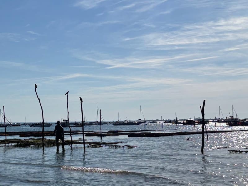 Bassin d’Arcachon depuis Piraillan - Lège-Cap-Ferret