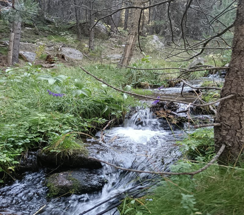 Vallée de Planes - Planès