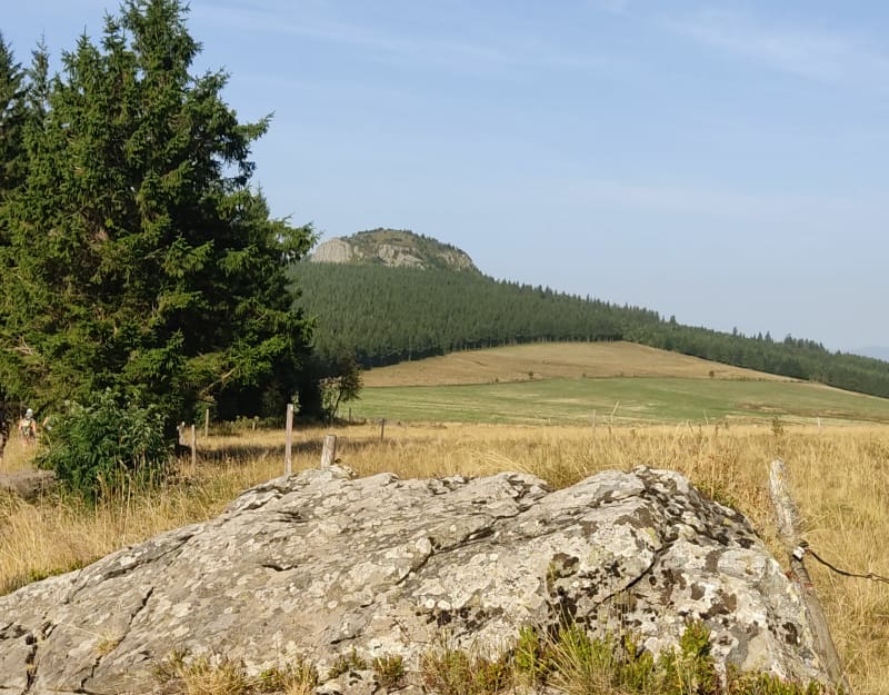 Le mont Tourte - Les Estables