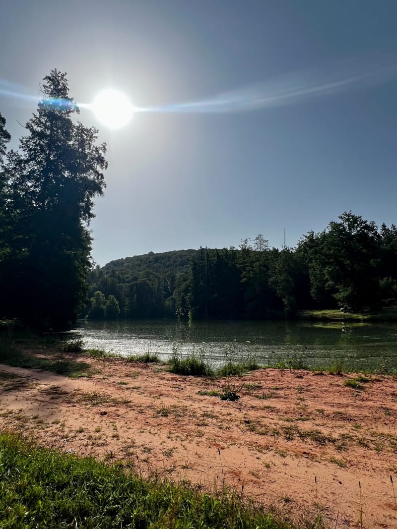 Balade autour des étangs de Lambach - Lambach