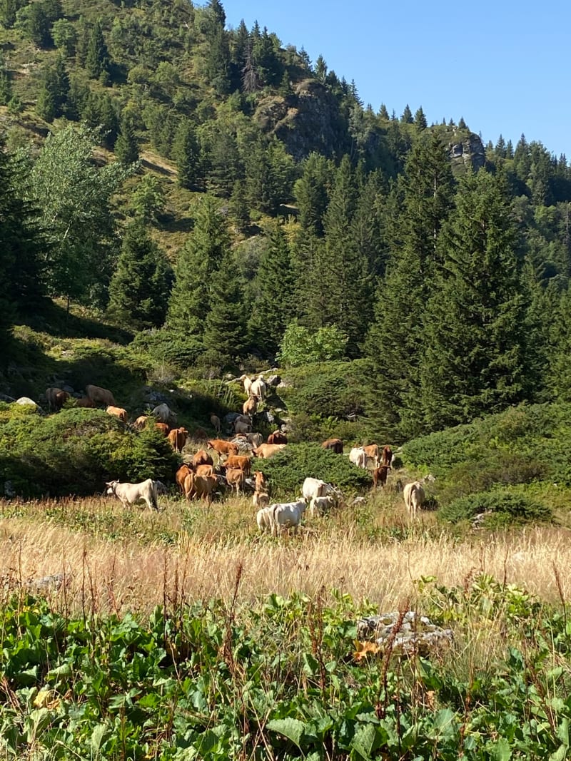 Randonnée familiale au Lac de la Jasse - Les Adrets