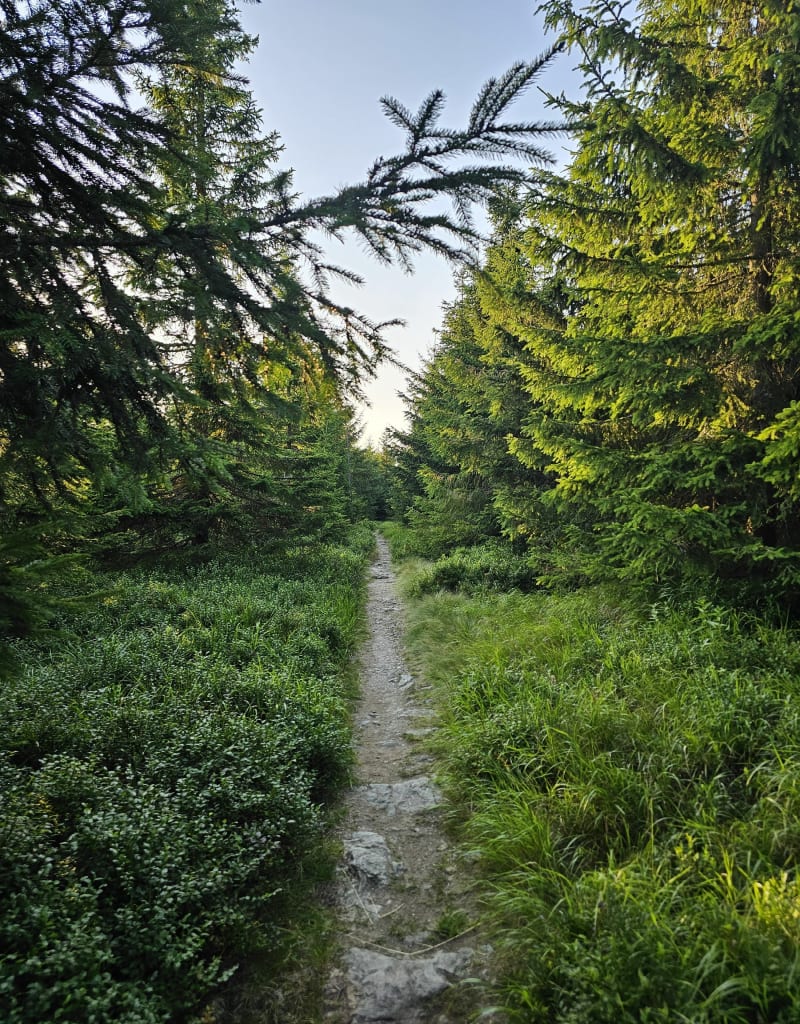 Szpindlerowy Młyn - Predni Planina - Špindlerův Mlýn