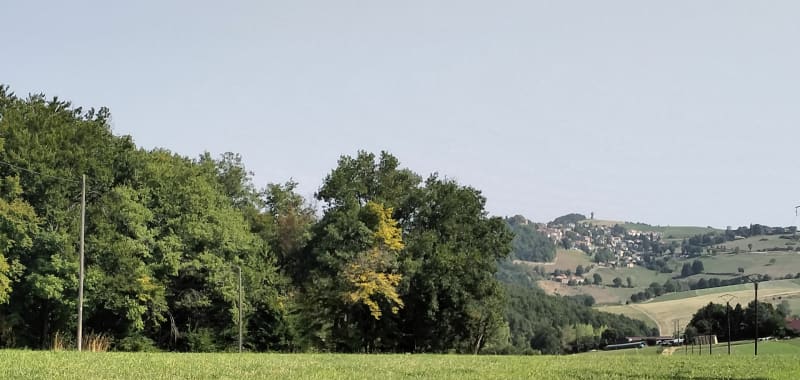 Bois Sonnier autour de Fontanès - Fontanès