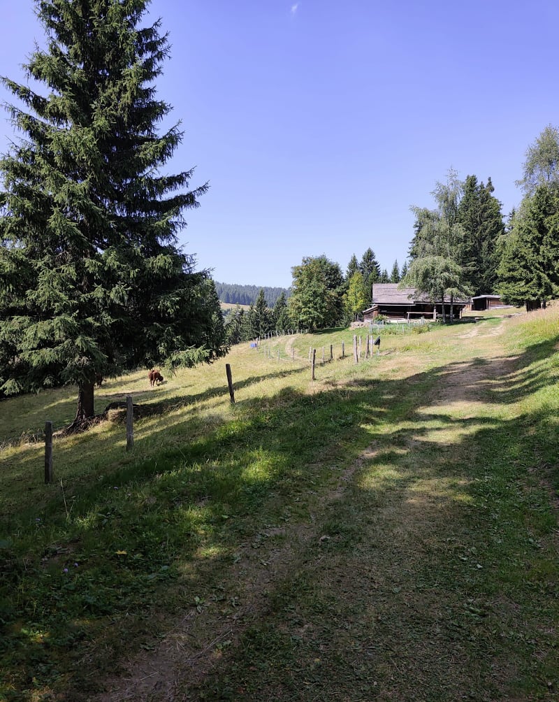 Sentier aigle et Tête de Cabeau - Manigod