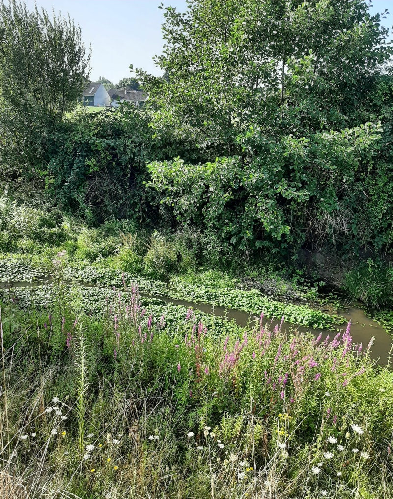 Chemin des Prateaux, Bergeresse - Vienne-en-Val