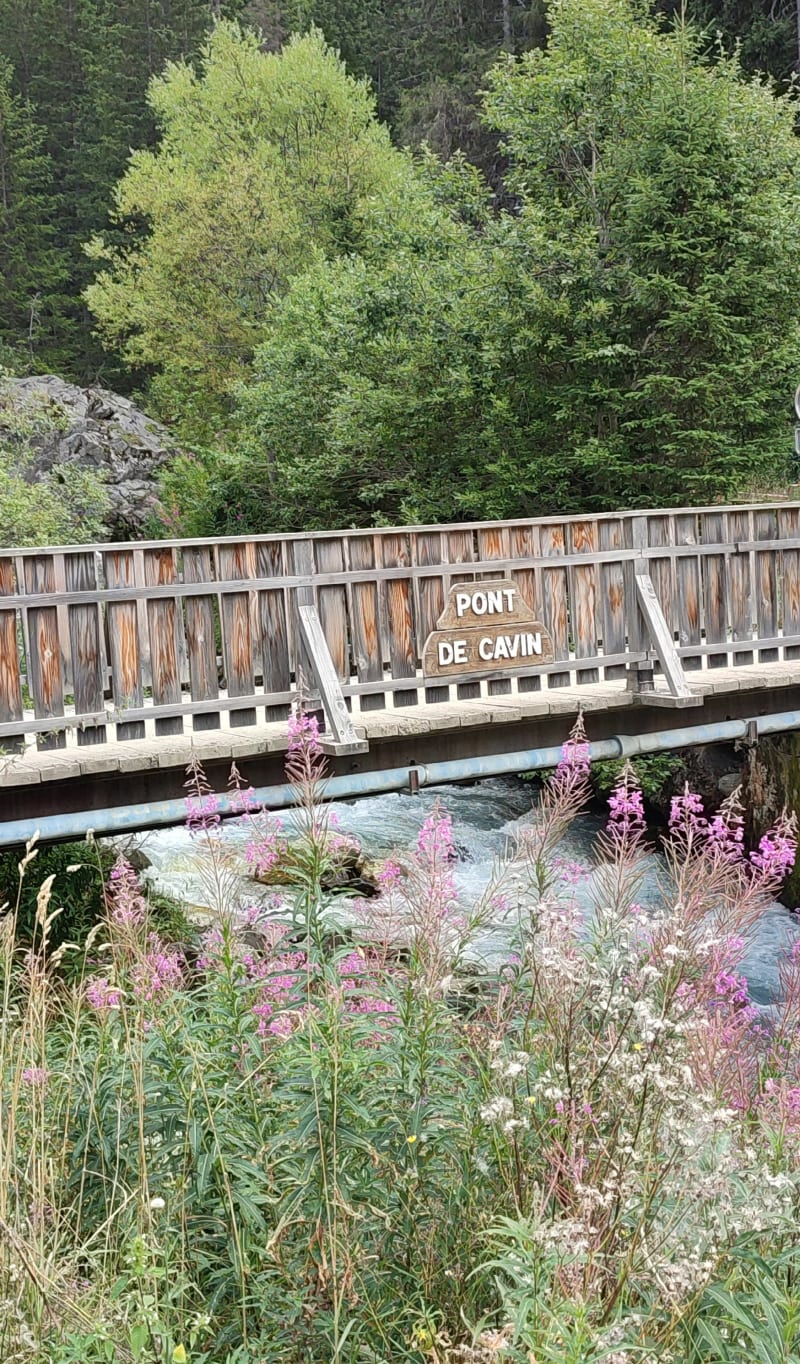 Cascade du grand Marchet - Pralognan-la-Vanoise