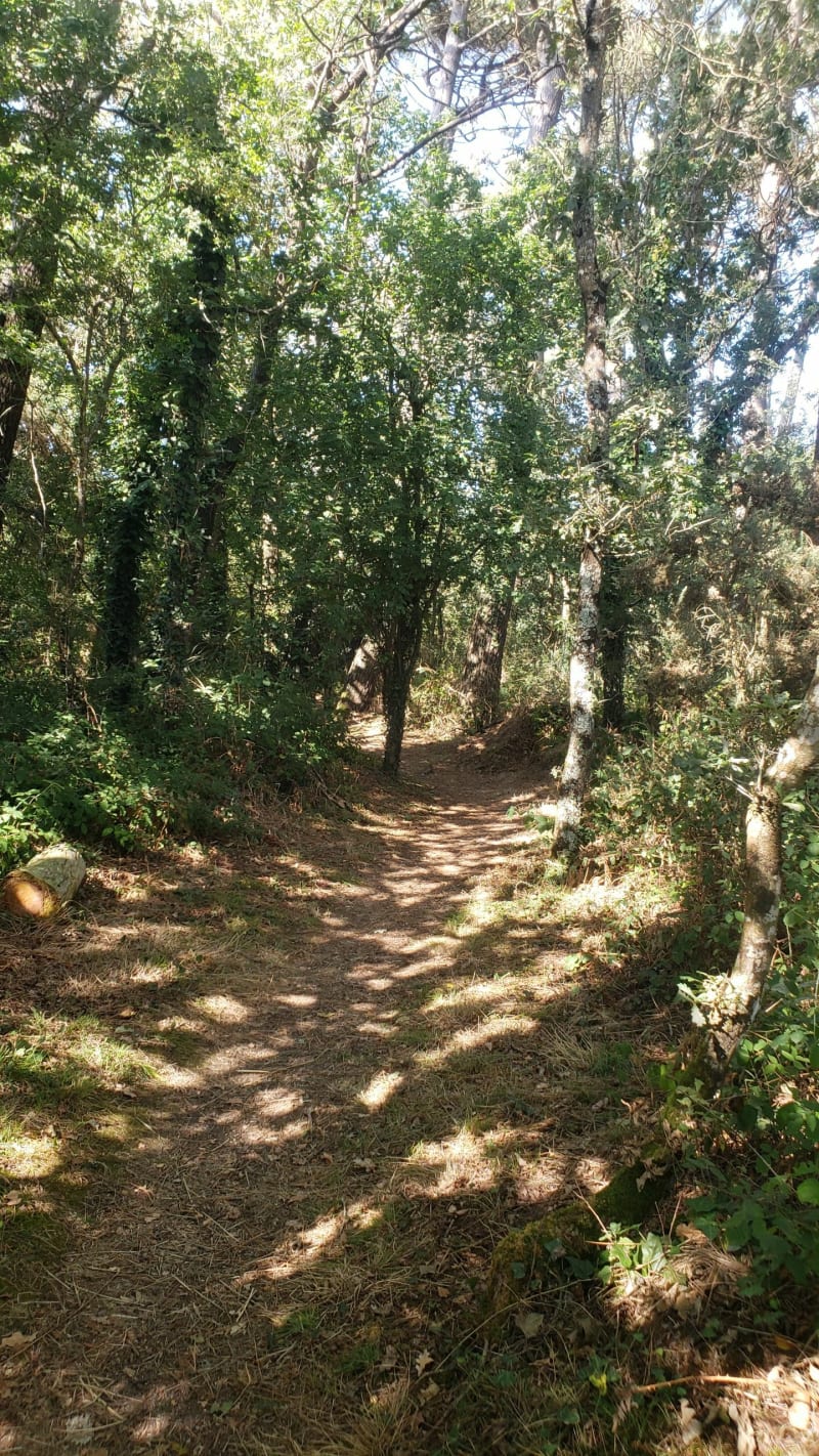 Boucle autour de Plouhinec - Plouhinec
