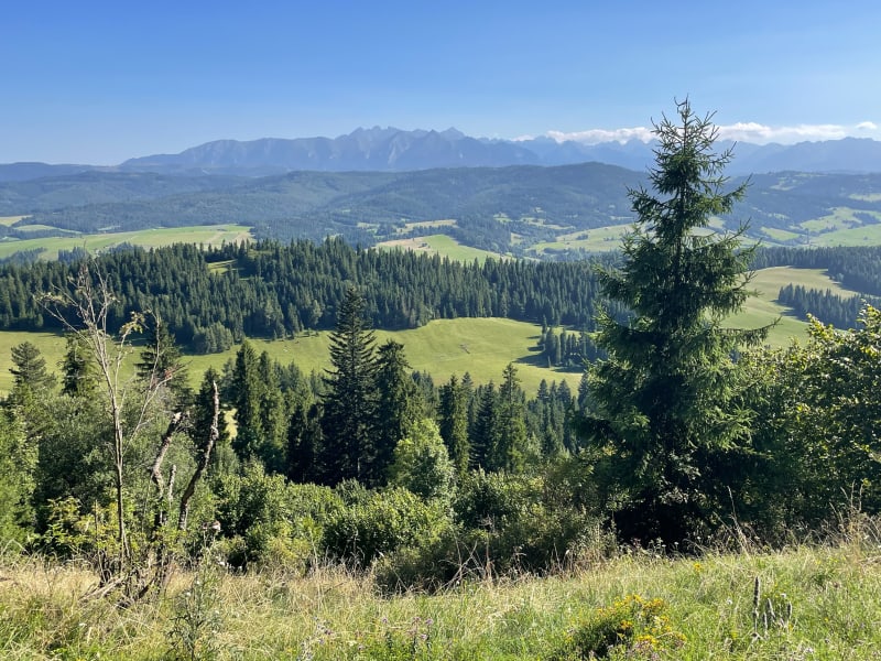 Pieniny Spiskie - Góra Żar 833 m n.p.m. - Dursztyn