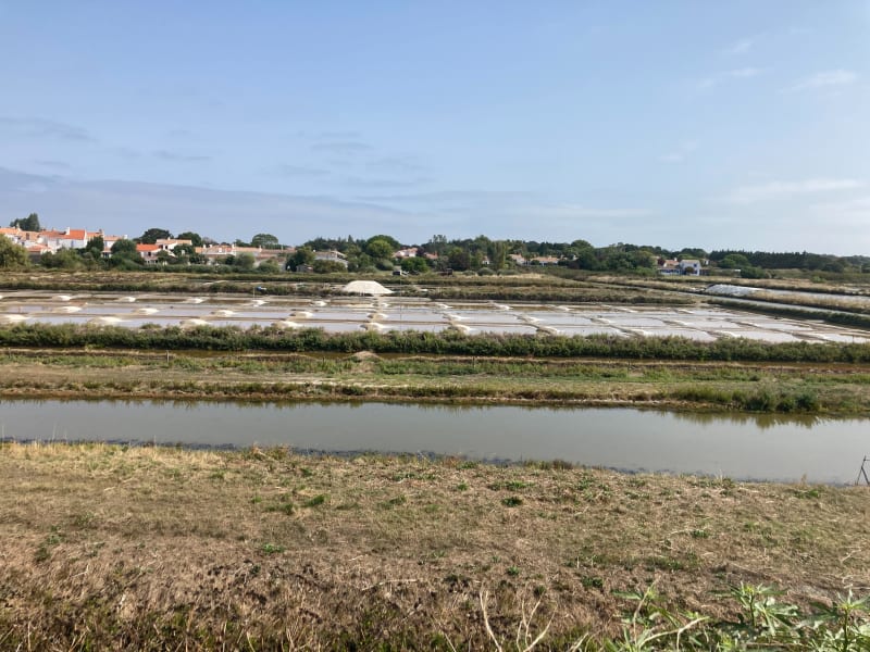 Balade autour de Noirmoutier - Noirmoutier-en-l'Île