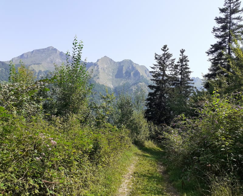 Au-dessus d'Aulus-les-Bains - Aulus-les-Bains