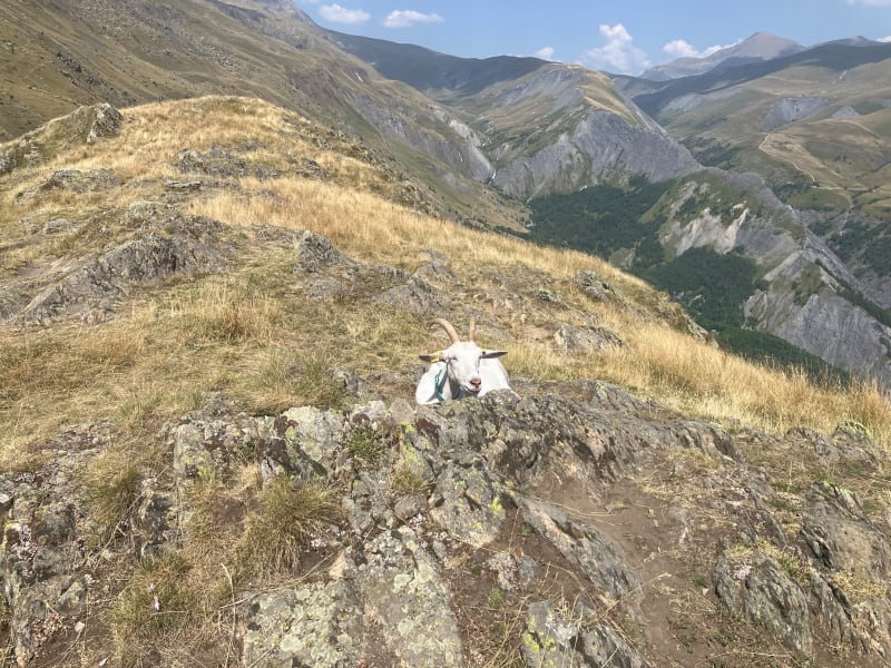 Le clos Chevaleret - Clavans-en-Haut-Oisans