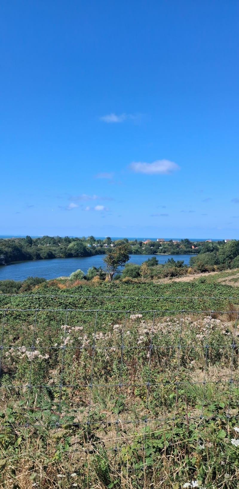 Sentier du Fartz - Wissant