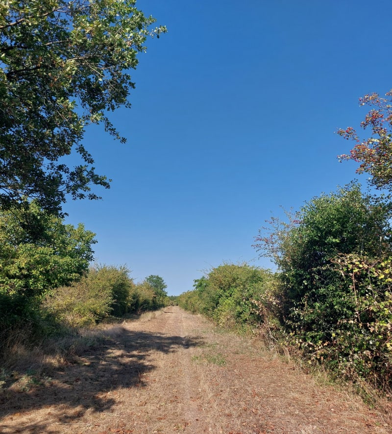 Le Coudray et une partie du circuit Chaussée de César - Civray