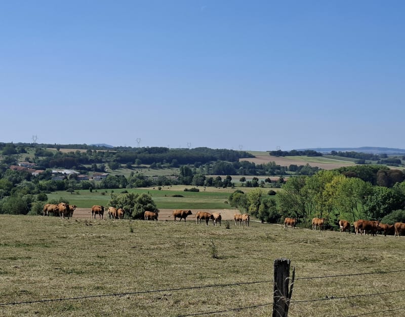 Pulligny vers le château d'Haroué - Pulligny