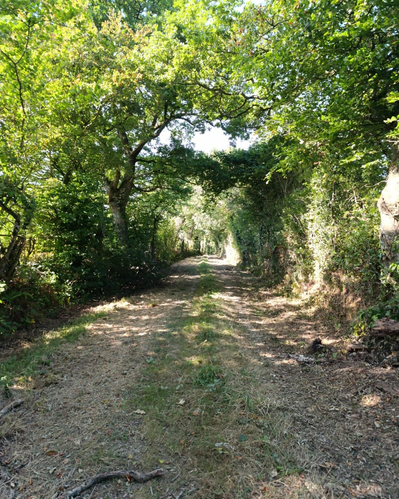 Petits chemins autour de Saussemesnil - Saussemesnil