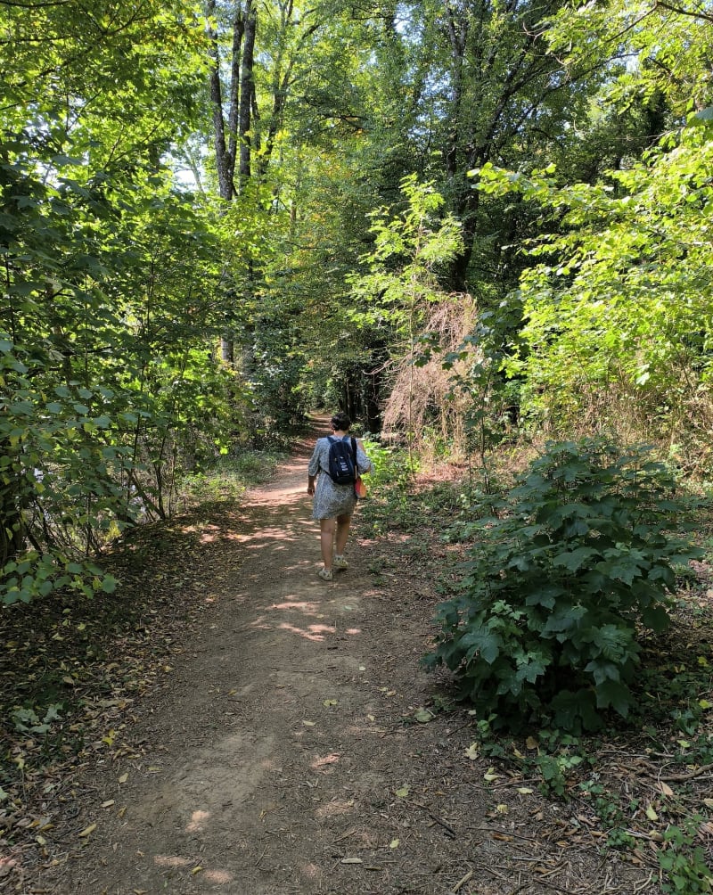 Tunnel de verdure cervierois - Rocheservière