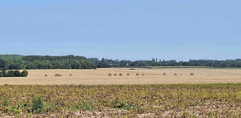 De la voie verte à la Kiliène - Saulty