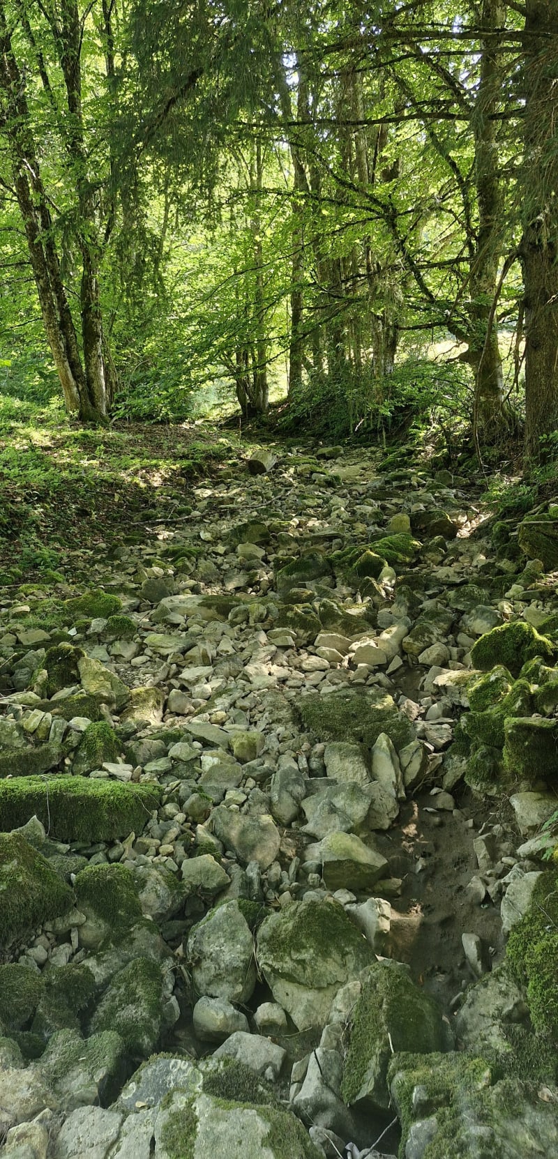 Sur la route du Revard - Montcel