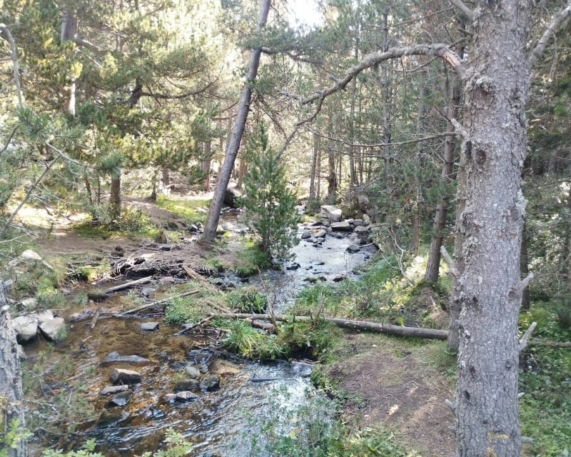 Très jolie rando au Lac de Balcère aux Angles - Les Angles