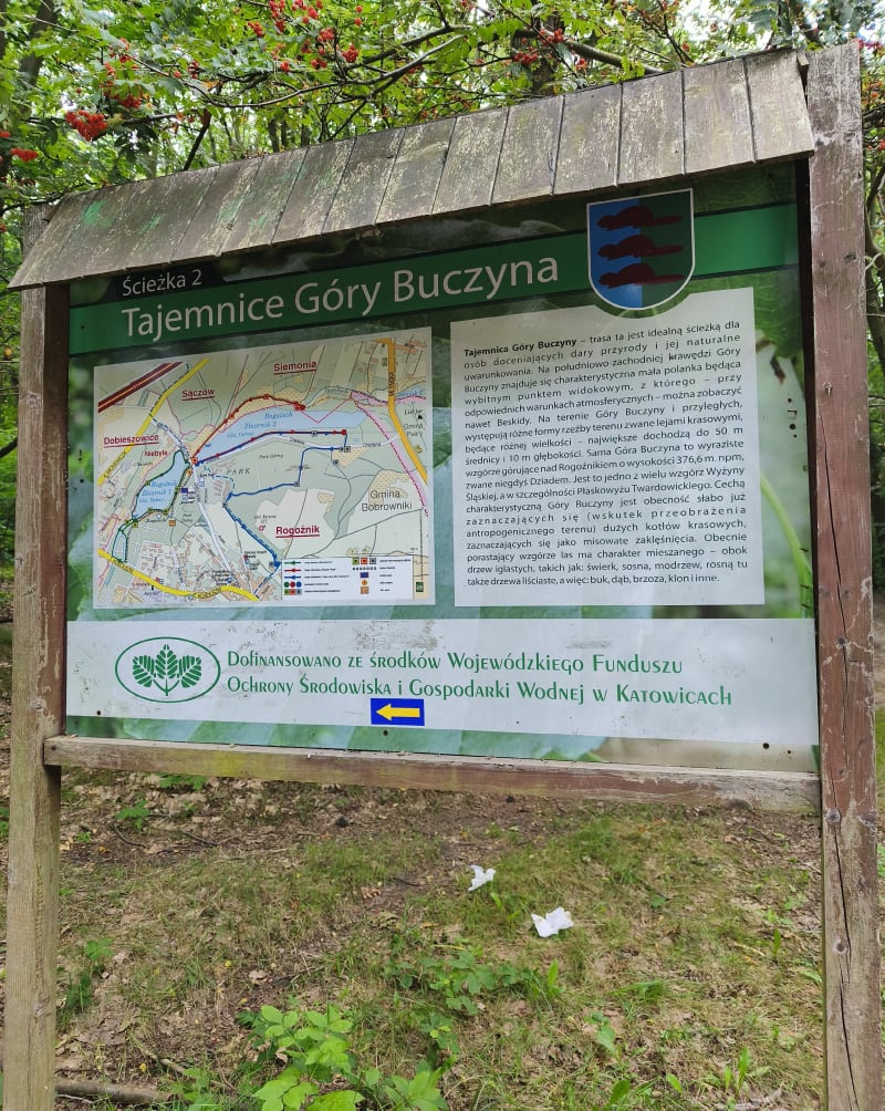 Źródełko Rogoźnik - Rogoźnik