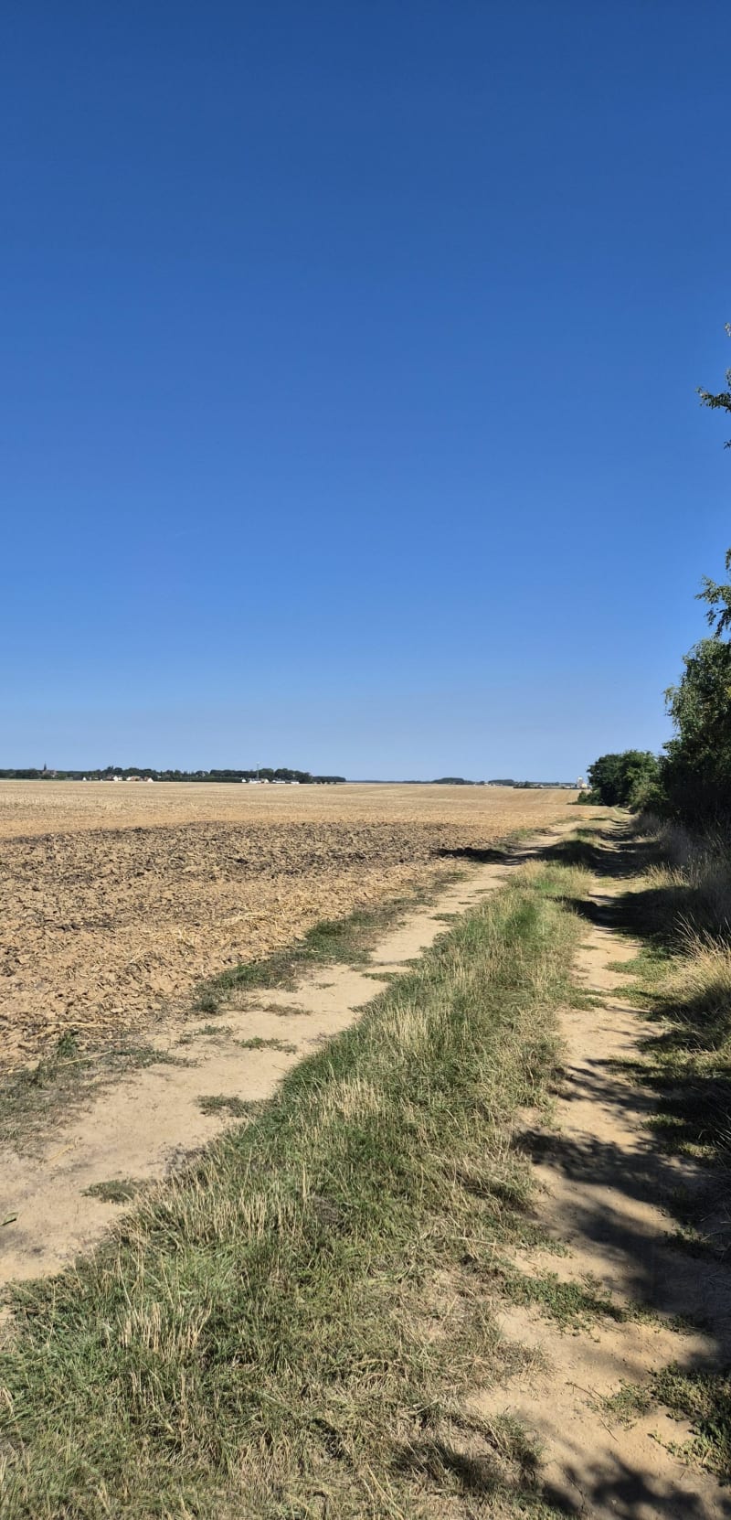 Rando nature par Vallée Ourit et des Joncs - Mainvilliers